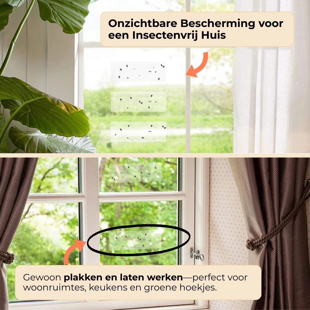 Flytrap | Lijmplank voor Insecten