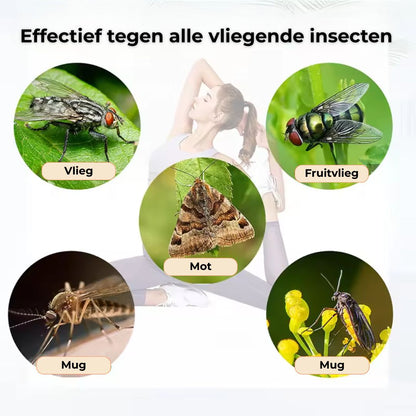 Flytrap | Lijmplank voor Insecten